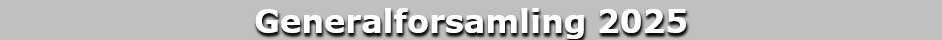 Generalforsamling 2025