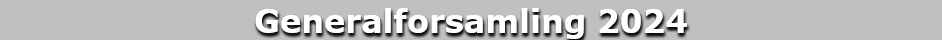Generalforsamling 2024